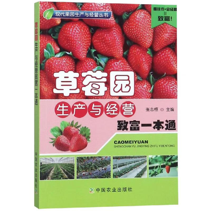 草莓园生产与经营致富一本通 张志恒 书籍