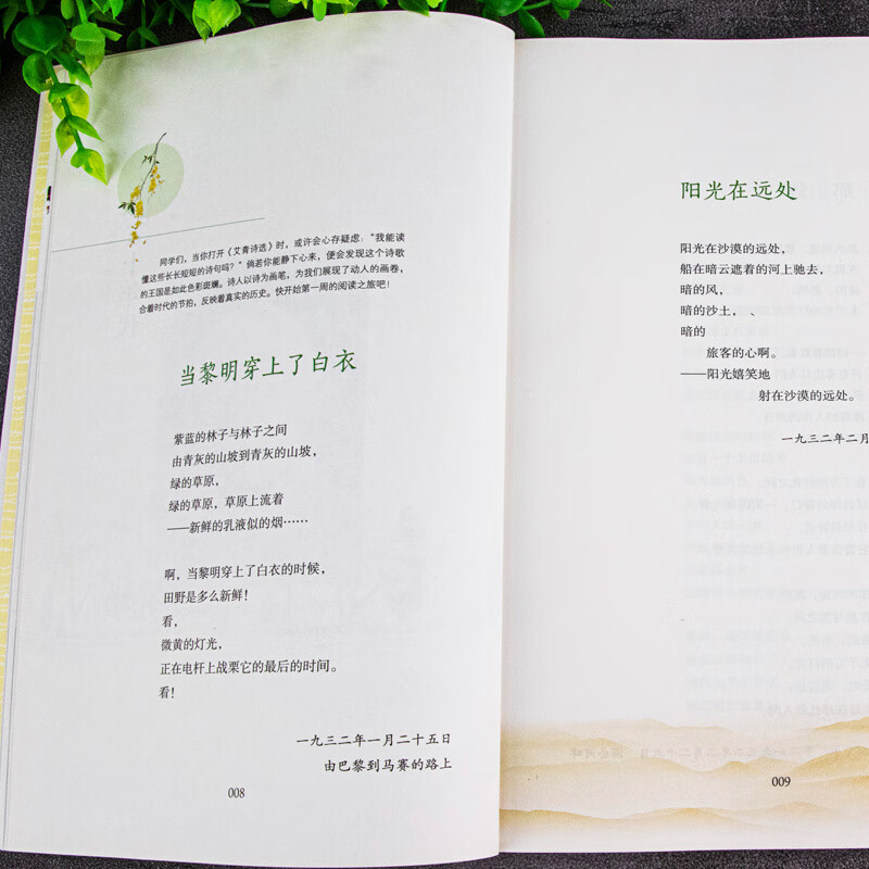 人民教育出版社艾青诗选水浒传原著正版九年级上册无删减人教版初三语文课外阅读丛书青少年读物书籍 人教版水浒传