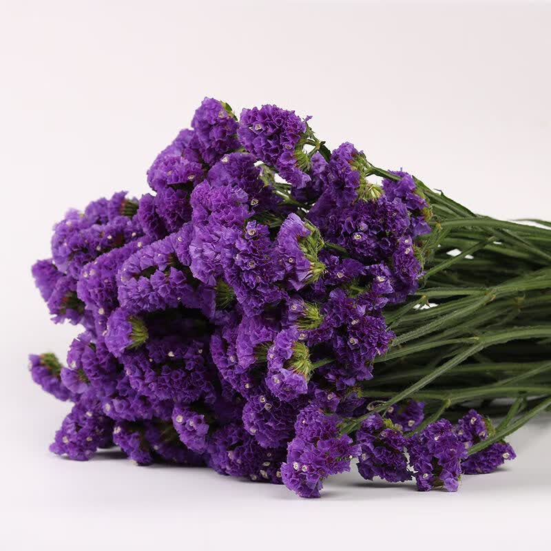 云南天然勿忘我500g/扎鲜花花束 玫红粉色浅紫纯色款小清新家居摆设