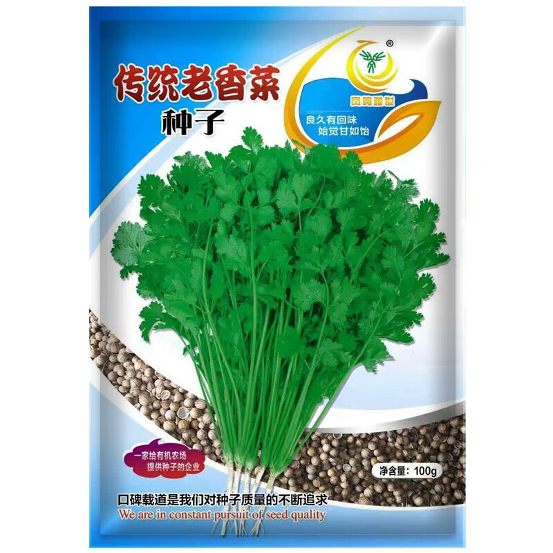 春季菜种子四季室内阳台种菜农家大芫荽香葱蔬菜种孑 传统老香菜种子