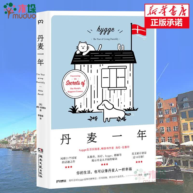 丹麦一年