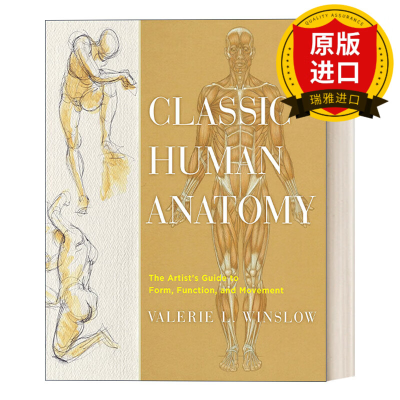 human anatomy 经典人体解剖学:形式,功能和运动的艺术家指南 绘画
