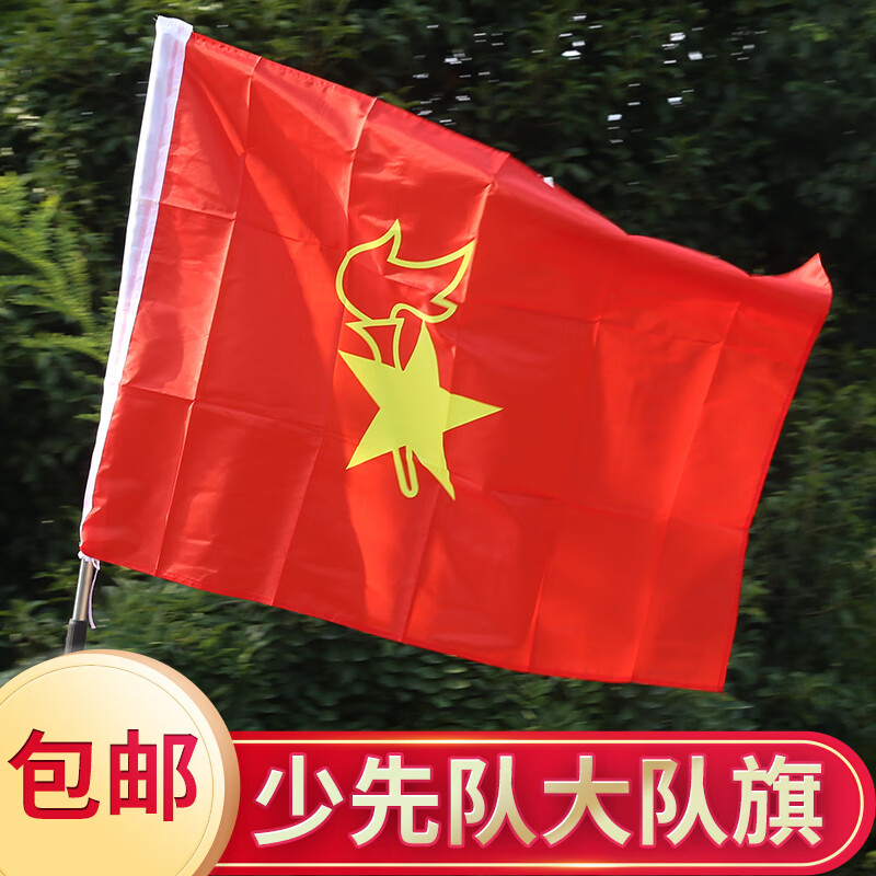 奥乐维斯 少先队大队旗中队旗小队旗 旗帜定做活动广告导游跑步团社团