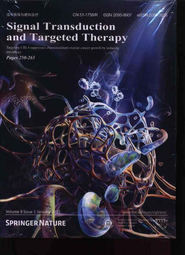 信号转导与靶向(signal transduction and targeted therapy)