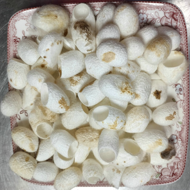 朗透  蚕茧桑蚕茧壳瑕疵黄斑入蚕茧一级入大小不一做皂原料 瑕疵黄斑