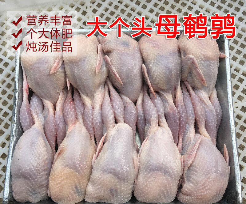 伯贤鹌鹑肉新鲜现杀油炸烧烤母鹌鹑白条红条生骨肉20只
