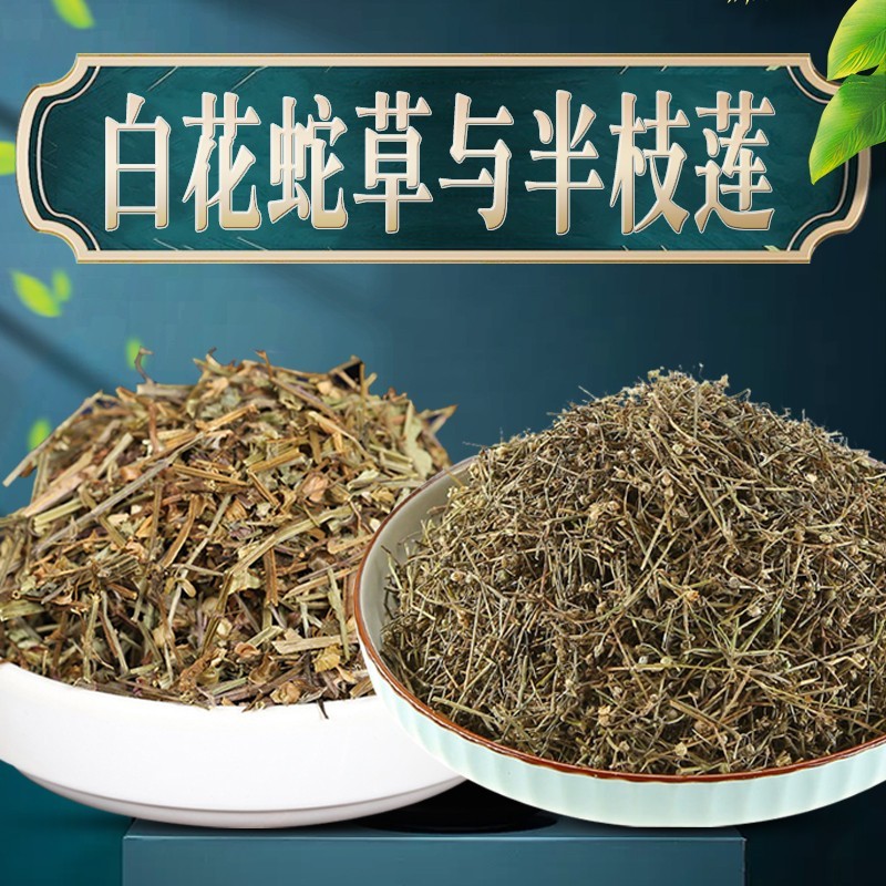 半枝莲和白花蛇舌草治疗肿瘤(半枝莲和白花蛇舌草泡水喝的功效)