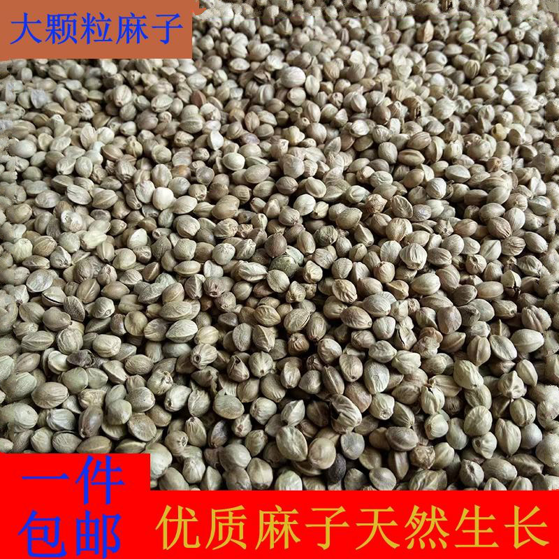 大颗粒麻子鸟粮火麻籽麻仁金刚葵花鹦鹉鸟食鸽粮仓鼠饲料5斤