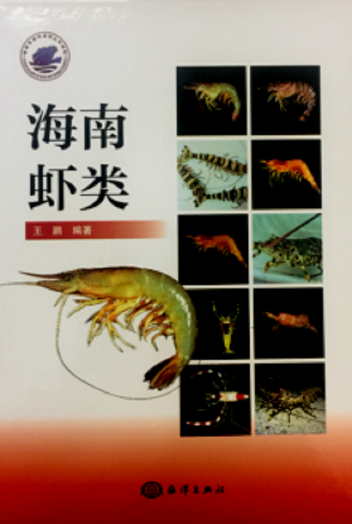 海南虾类 王鹏 农业/林业 9787502797096