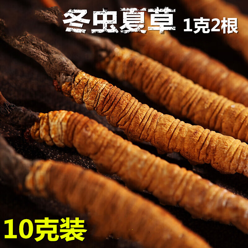 【10克装赠2克】西藏那曲冬虫夏草 1克2根头期草虫草干货礼盒
