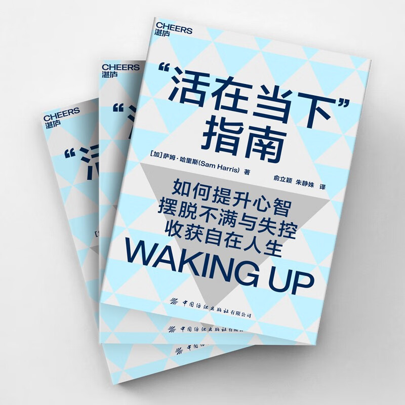 活在当下指南：带你提升心智 摆脱不满与失控 活得自在且清醒 成功励志 湛庐图书详情图