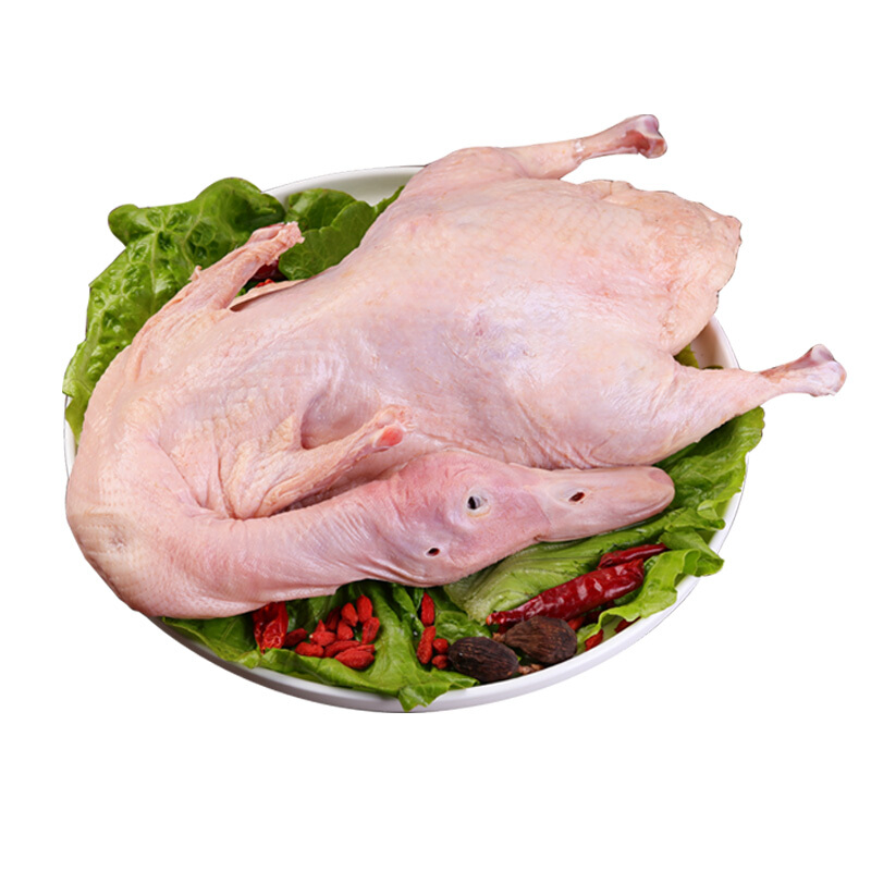 伯贤新鲜整只土鸭子肉农家活鸭宰杀白条鸭可做烤鸭炖汤1只2斤左右