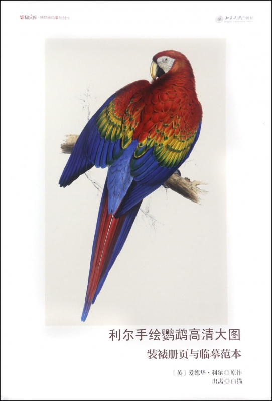 利尔手绘鹦鹉高清大图(装裱册页与临摹范本)/博物文库