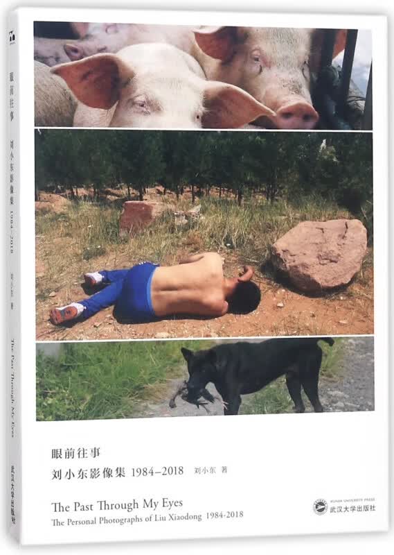 眼前往事(刘小东影像集1984-2018)