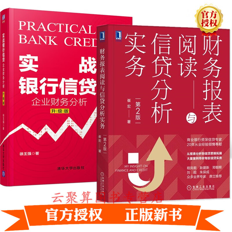 2021 财务报表阅读与信贷分析实务第2版+实战银行信贷企业财务分析升级版 企业财务分析策略财务会计