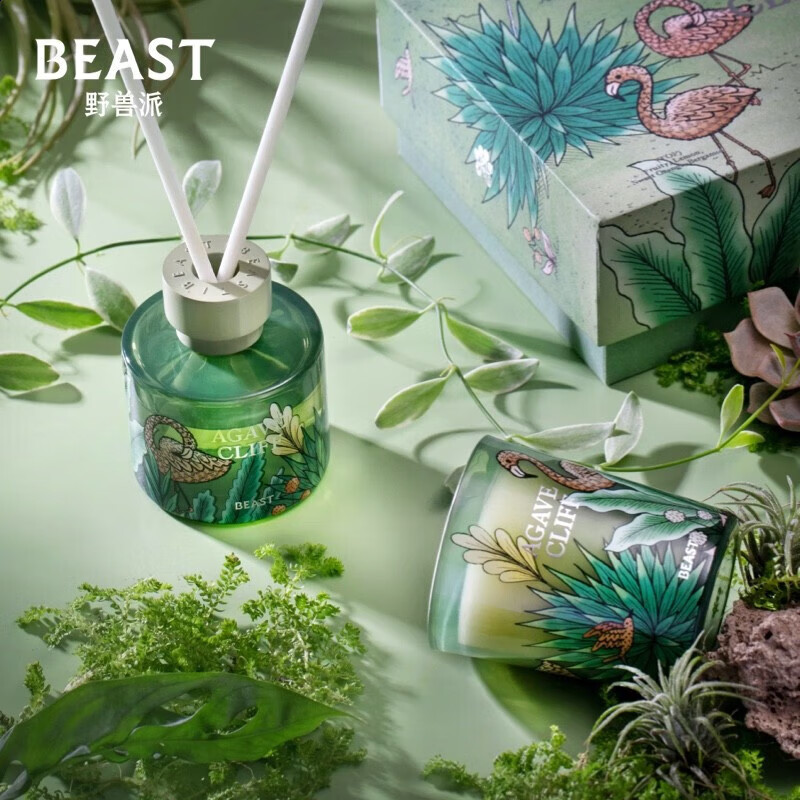 野兽派（THE BEAST）Jungle清新龙舌兰香薰蜡烛礼盒香薰卧室生日礼物高性价比高么？