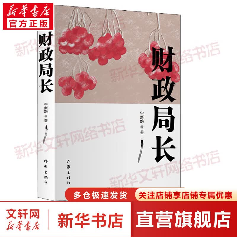 财政局长 图书
