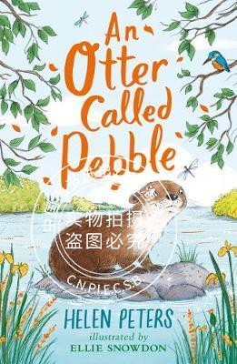 现货 水獭叫鹅卵石 英文原版 JG AN OTTER CALLED PEBBLE