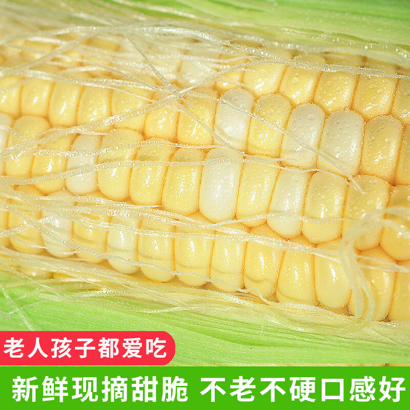 中鲜生水果玉米新鲜甜玉米 云南新鲜玉米茄果瓜蔬菜生鲜蔬菜 净重3斤 【单根300g+】金银水果玉米品质装
