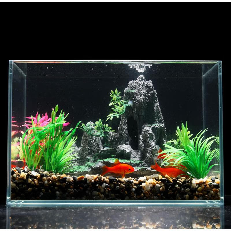 可以看造景装饰价格波动的App|造景装饰价格比较