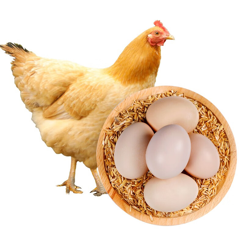 初土记原种土鸡蛋30枚净重1170g 五谷喂养鲜鸡蛋 笨鸡蛋 原产地直发