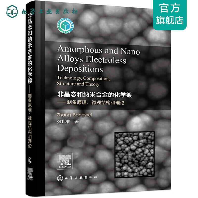 Amorphous and Nano Alloys Electroless Depositions