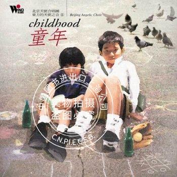 现货 【中图音像】童年CD使用感如何?