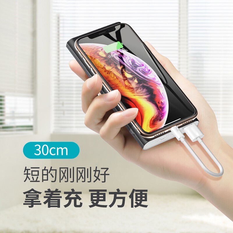 mijv数据线适用苹果手机短款充电宝线iphone6sp78X便携Xmax苹果12充电线2.4A快充 0.3米【2条装】