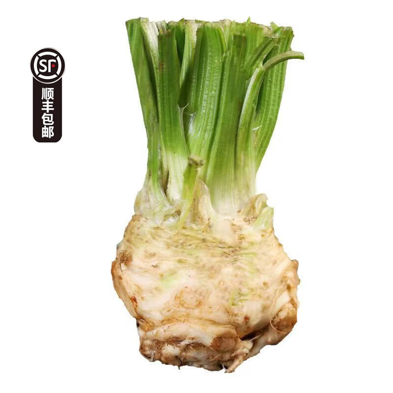 zxc根芹菜根 芹菜头新鲜 块根芹洋芹球根塘蒿 西餐香料蔬菜 顺丰 5斤