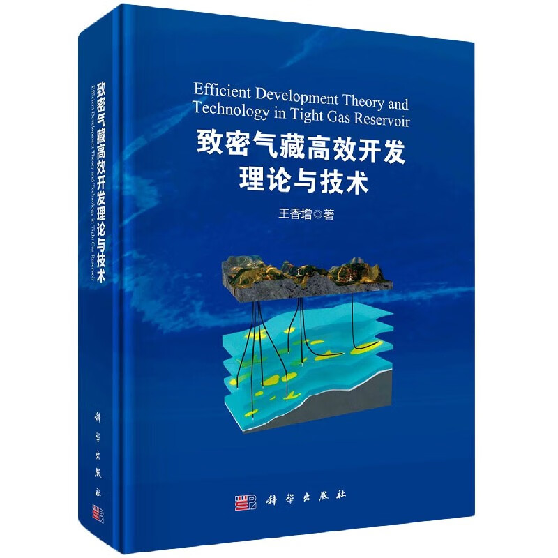致密气藏高效开发理论与技术(精)