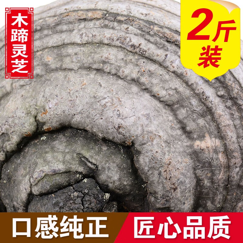 滋真堂 裂蹄灵芝木蹄灵芝长白山林下木蹄灵芝可切片 裂蹄灵芝2斤