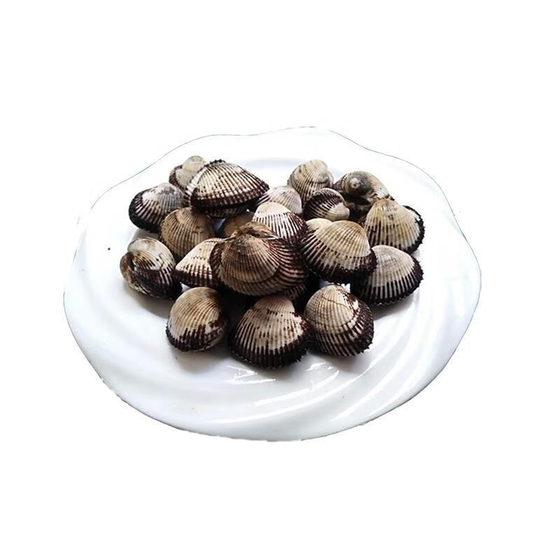 1禧客鲜【纯毛蛤】包活到家蛤蜊毛蚬子鲜活海鲜批发海蛤蜊毛贝毛蚶子