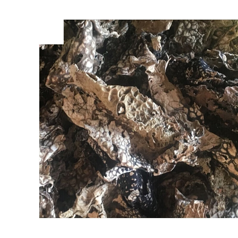 味巴哥云南高原树皮菜 云南楚雄特产 干货 青蛙皮 树蝴蝶500g