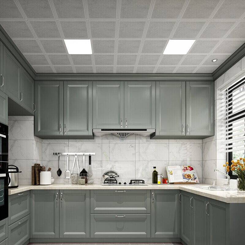 雷士(nvc)led集成吊顶灯 面板灯平板灯铝扣板厨房灯厨卫灯 16w白光