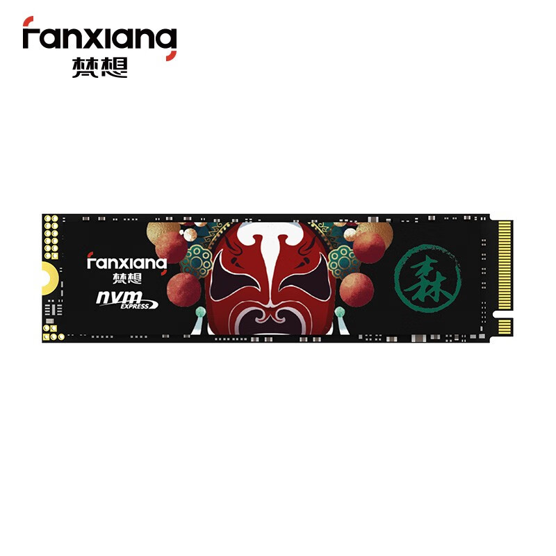 FANXIANG500GSSDM2NVMeS500