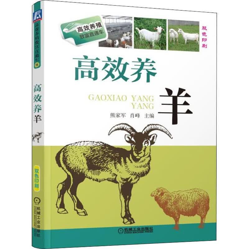 高效养羊