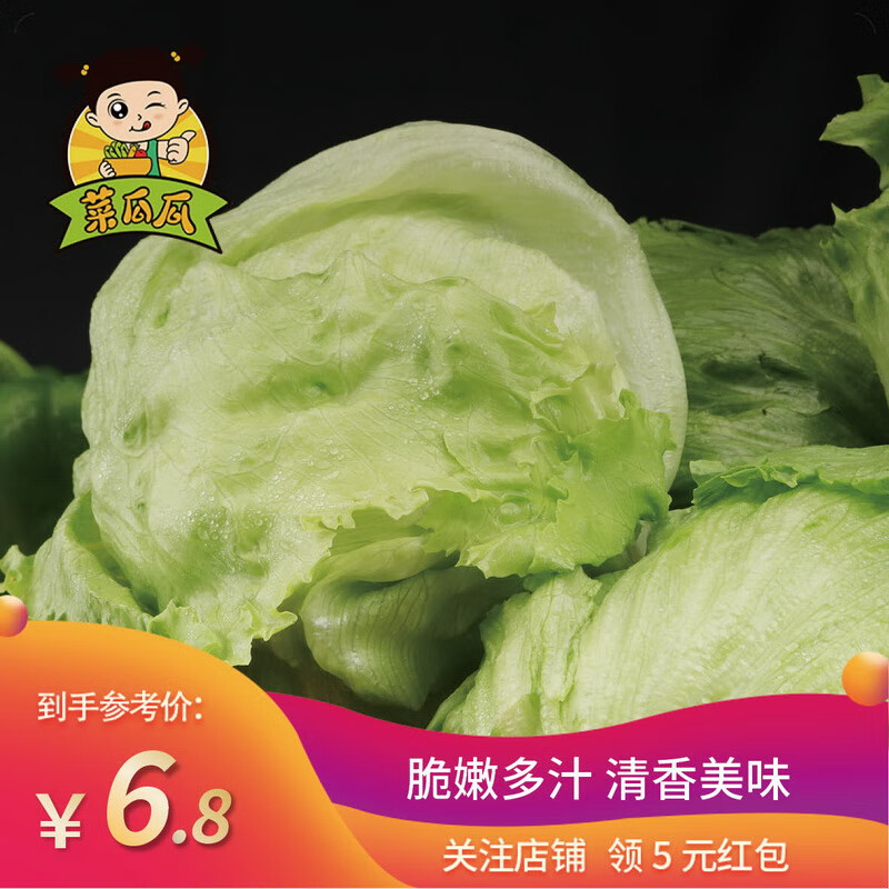 菜瓜瓜 球生菜新鲜蔬菜汉堡用圆生菜球型西生菜沙拉菜色拉食材 450g