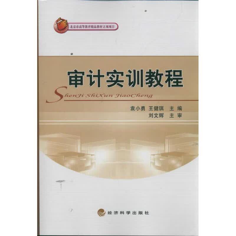 审计实训教程 袁小勇 王健琪 作 书籍