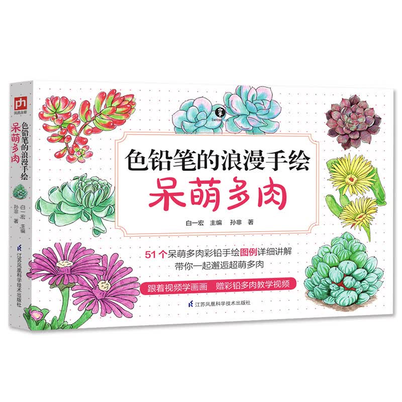 色铅笔的浪漫手绘(呆萌多肉) 孙非 书籍