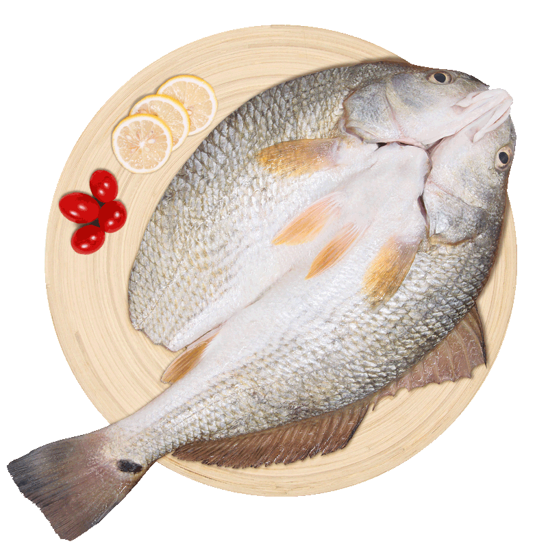 仙泉湖 斑点尾鲈鱼 500g