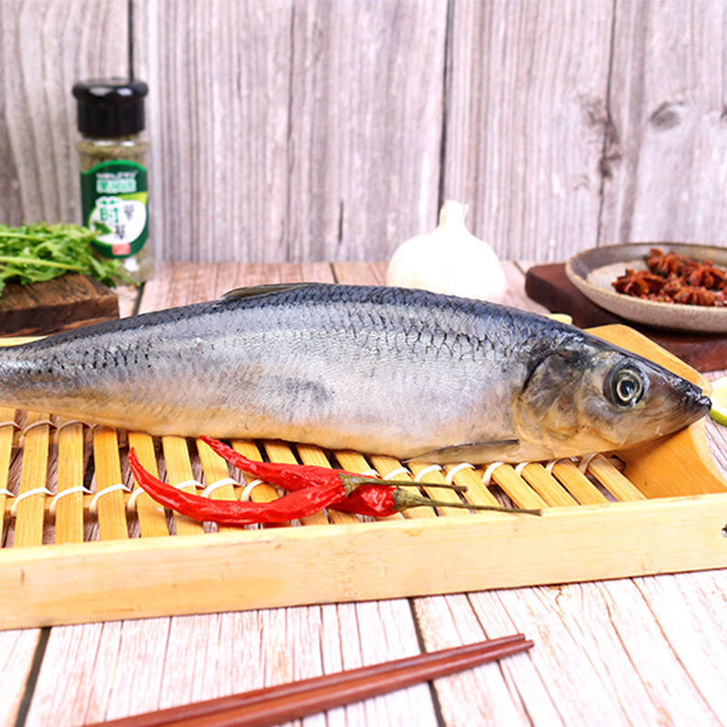 海青鱼新鲜整条鱼海鲜水产品深海青鱼淡水鱼沙丁鱼300 400g 条 带籽 6斤贈4斤 共10斤 店长推荐 虎窝购 海青鱼新鲜整条鱼海鲜水产品深海青鱼淡水鱼沙丁鱼300 400g 条 带籽 6斤贈4斤 共10斤 店长推荐 虎窝购