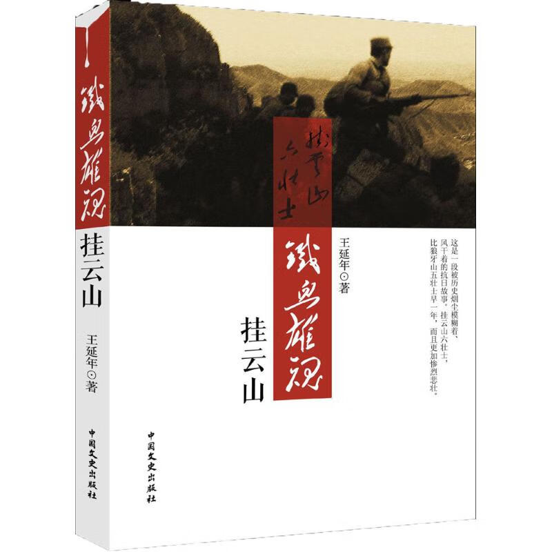 铁血雄魂挂云山 王延年 书籍