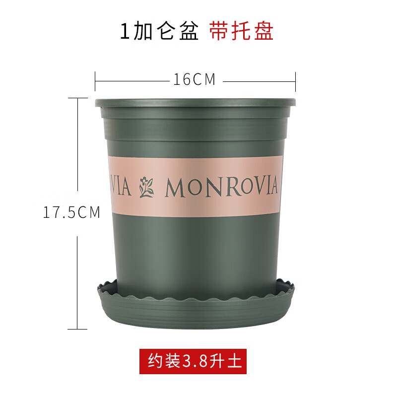 盆家用塑料花盆简约圆形特大号种植盆 1加仑 口径16cm高17cm(含托盘)
