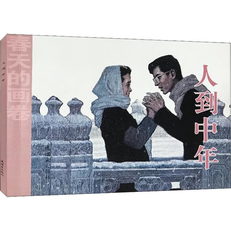 人到中年 谌容 王素 尤劲东绘 书籍
