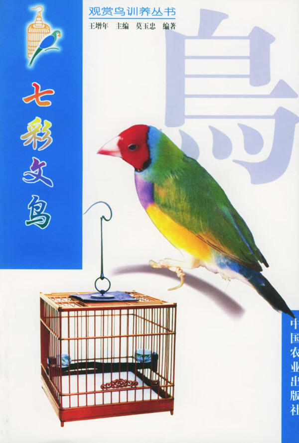 七彩文鸟