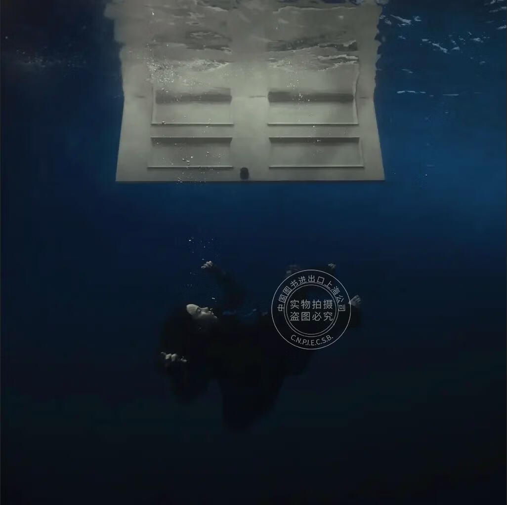 �ֻ� ��ͼ���� ����?����ʲ Billie Eilish �����ػ� 1CD