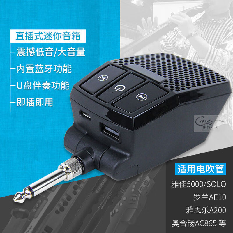 适用于雅佳电吹管 5000 solo 罗兰ae10 适配直插式迷你音箱 便携音响
