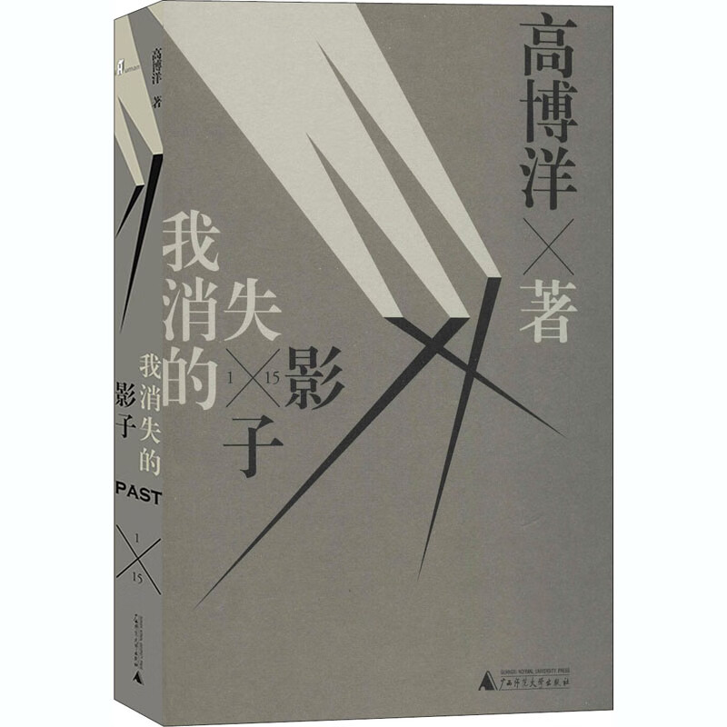 我消失的影子 高博洋 书籍