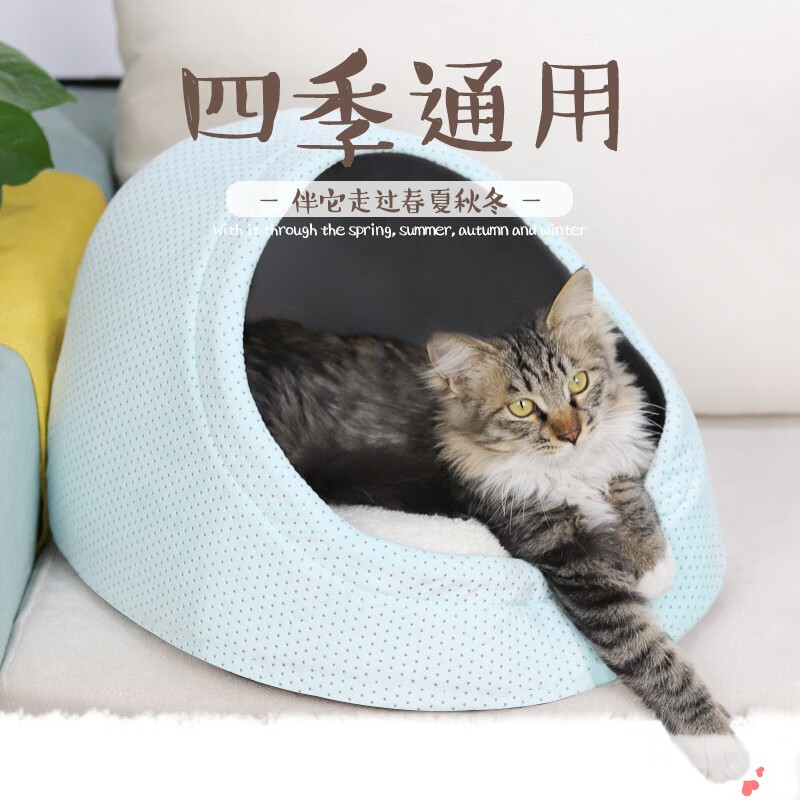 评测了解比较迪熊先生（Mr.Dixiong）猫窝多究竟如何呢？用了一星期真相分享