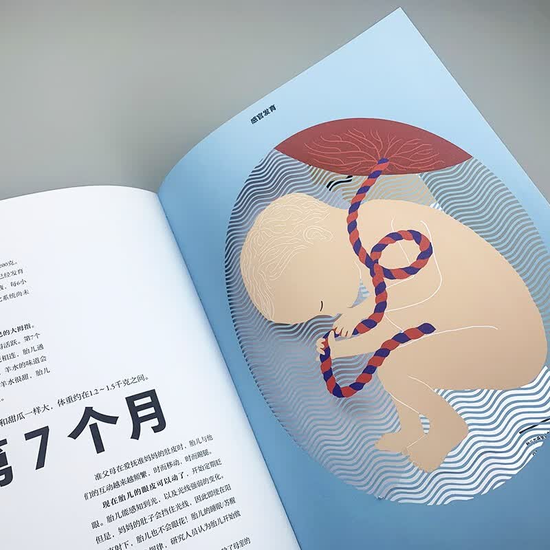 出生：在我们来到这世界之前详情图